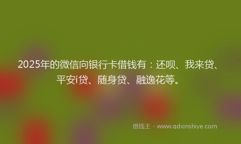 2025年的微信向银行卡借钱有：还呗、我来贷、平安i贷、随身贷、融逸花等。