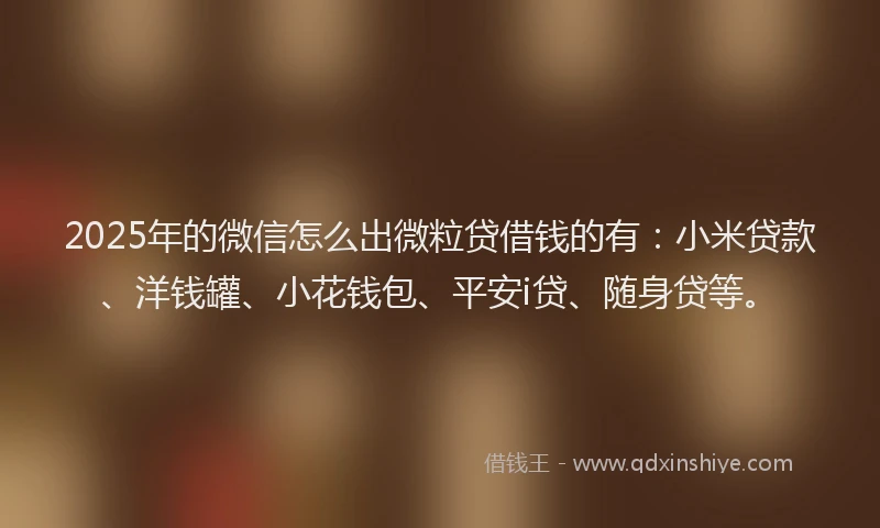 2025年的微信怎么出微粒贷借钱的有：小米贷款、洋钱罐、小花钱包、平安i贷、随身贷等。