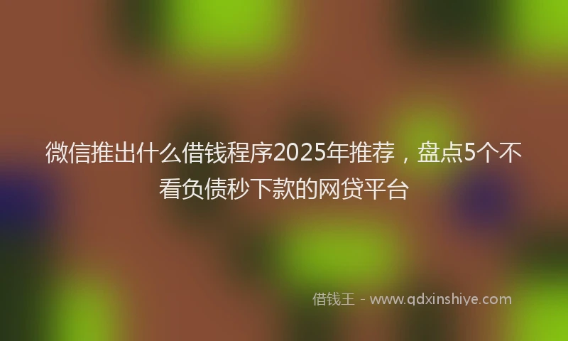 微信推出什么借钱程序2025年推荐，盘点5个不看负债秒下款的网贷平台