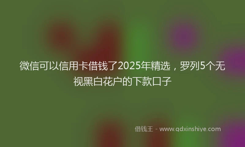 微信可以信用卡借钱了2025年精选，罗列5个无视黑白花户的下款口子