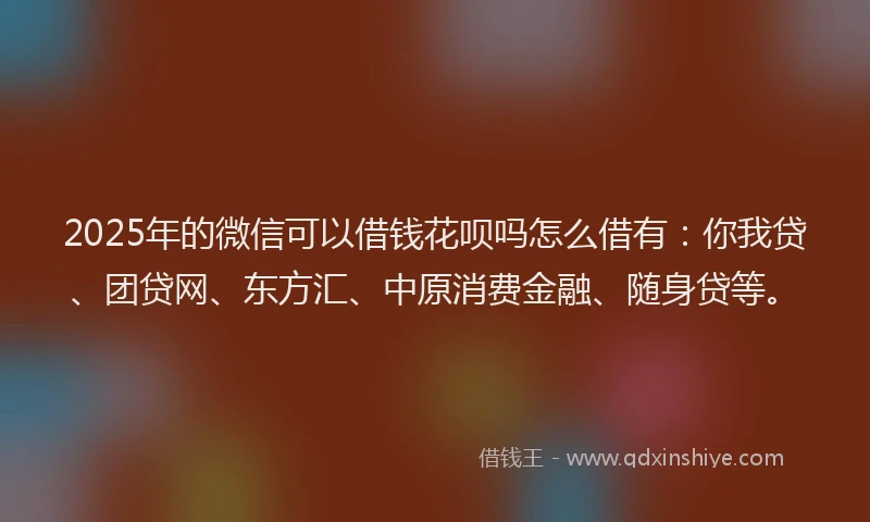 2025年的微信可以借钱花呗吗怎么借有：你我贷、团贷网、东方汇、中原消费金融、随身贷等。
