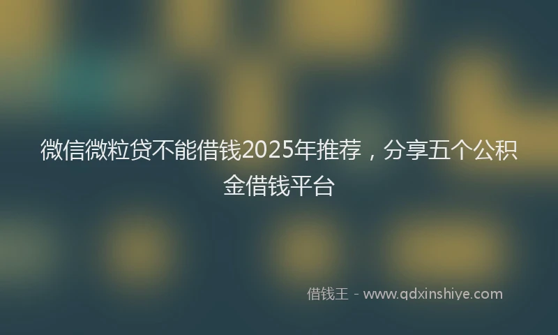 微信微粒贷不能借钱2025年推荐，分享五个公积金借钱平台