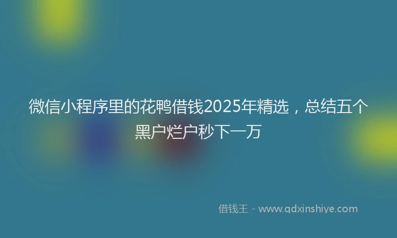 微信小程序里的花鸭借钱2025年精选，总结五个黑户烂户秒下一万