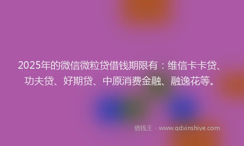 2025年的微信微粒贷借钱期限有：维信卡卡贷、功夫贷、好期贷、中原消费金融、融逸花等。