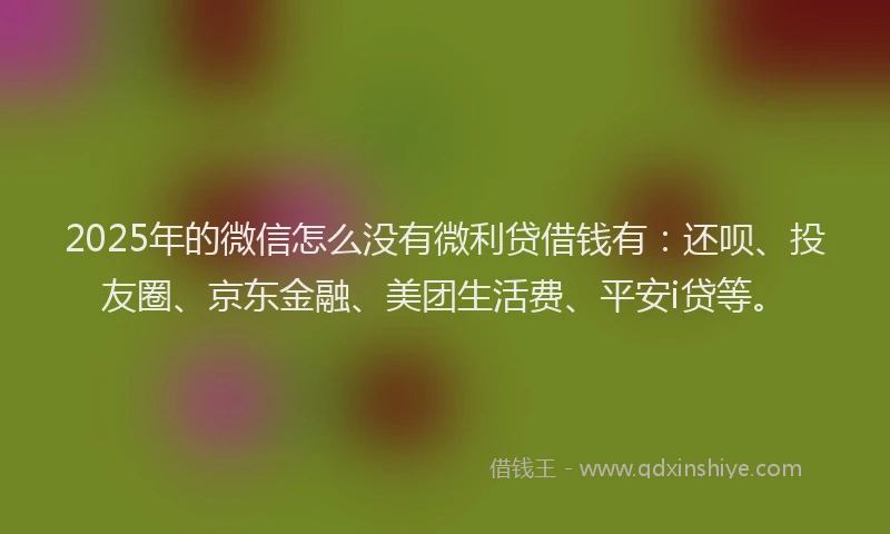 2025年的微信怎么没有微利贷借钱有：还呗、投友圈、京东金融、美团生活费、平安i贷等。