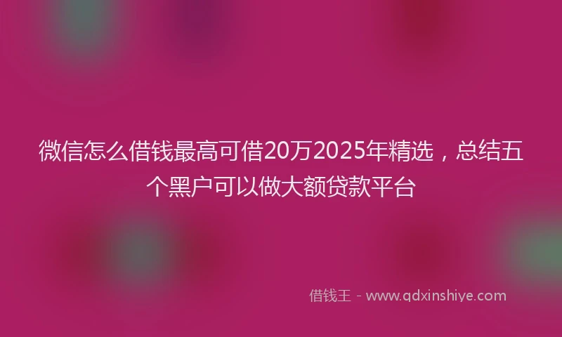 微信怎么借钱最高可借20万2025年精选，总结五个黑户可以做大额贷款平台