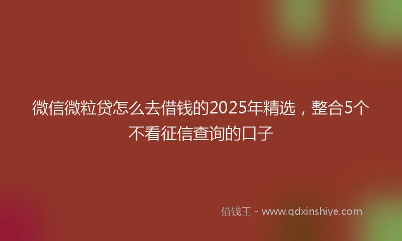 微信微粒贷怎么去借钱的2025年精选，整合5个不看征信查询的口子