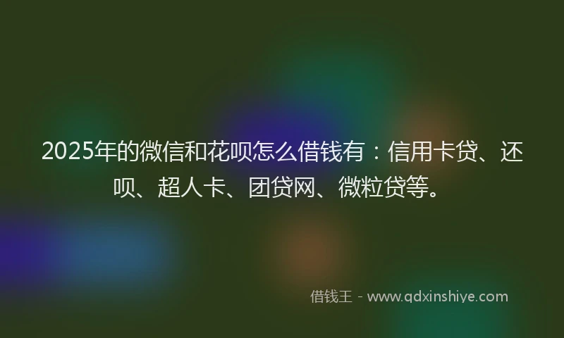2025年的微信和花呗怎么借钱有：信用卡贷、还呗、超人卡、团贷网、微粒贷等。