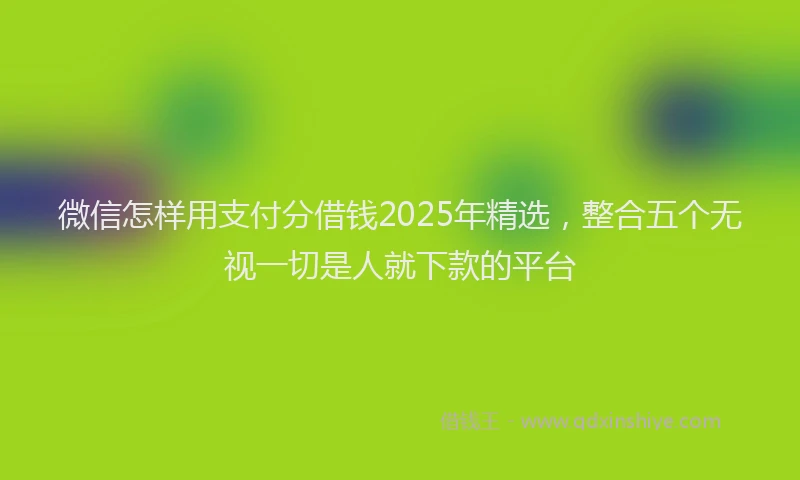 微信怎样用支付分借钱2025年精选，整合五个无视一切是人就下款的平台