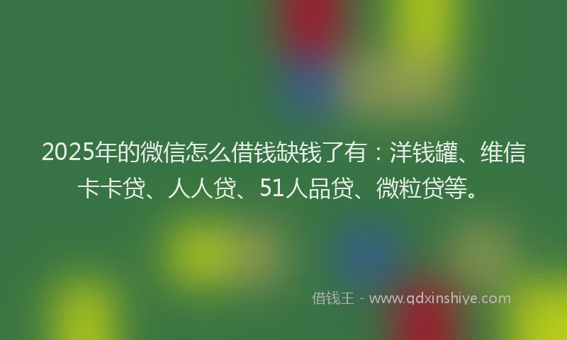 2025年的微信怎么借钱缺钱了有：洋钱罐、维信卡卡贷、人人贷、51人品贷、微粒贷等。