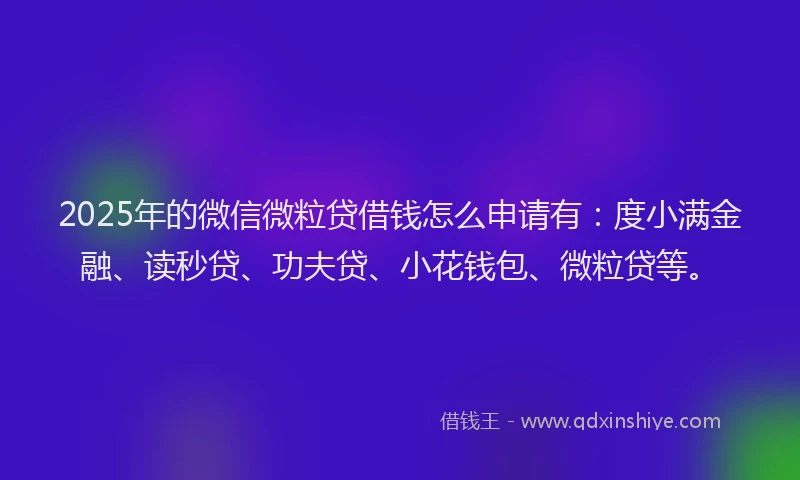 2025年的微信微粒贷借钱怎么申请有：度小满金融、读秒贷、功夫贷、小花钱包、微粒贷等。
