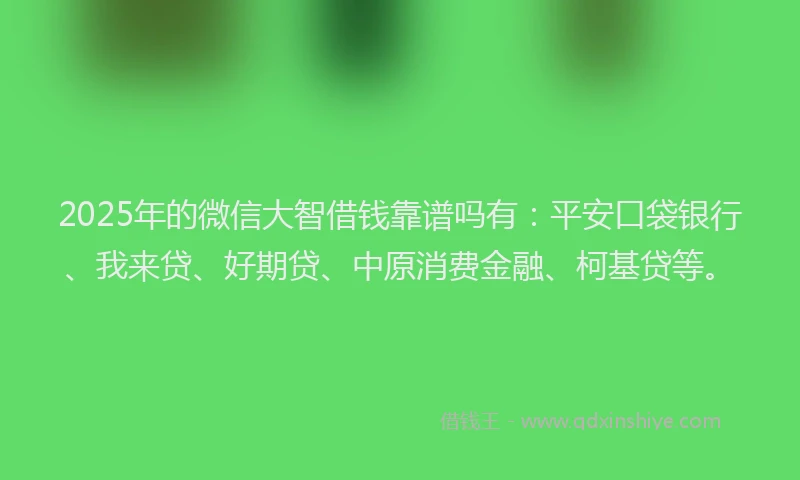 2025年的微信大智借钱靠谱吗有：平安口袋银行、我来贷、好期贷、中原消费金融、柯基贷等。