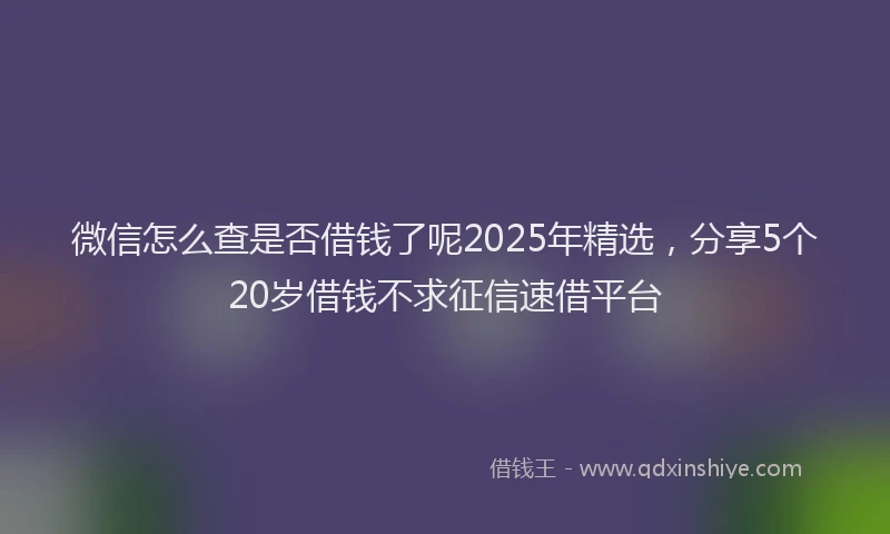 微信怎么查是否借钱了呢2025年精选，分享5个20岁借钱不求征信速借平台