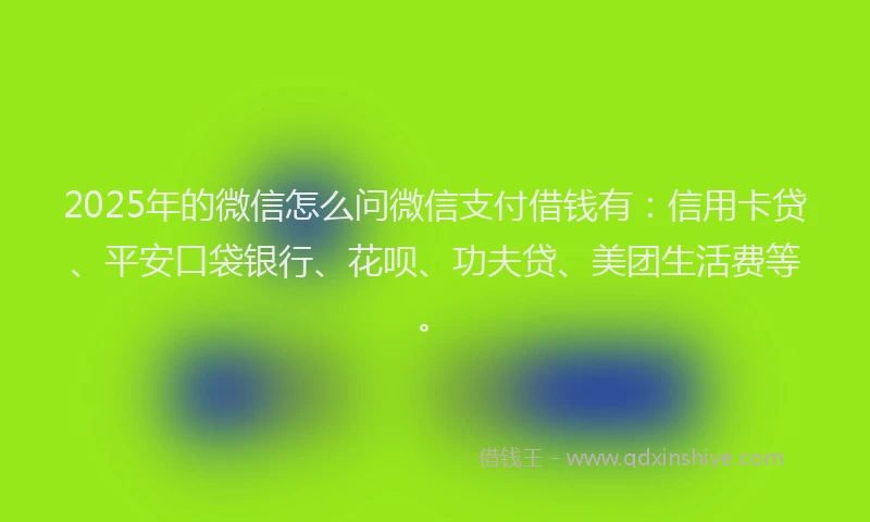 2025年的微信怎么问微信支付借钱有：信用卡贷、平安口袋银行、花呗、功夫贷、美团生活费等。