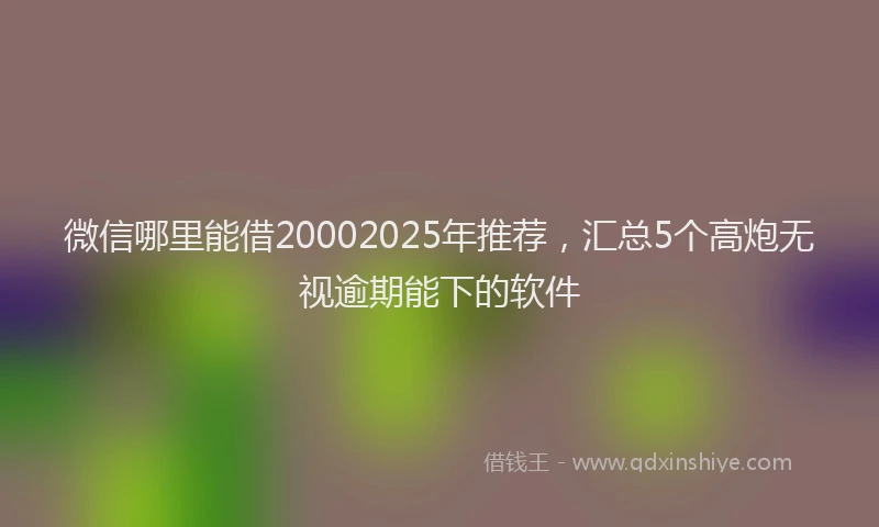 微信哪里能借20002025年推荐，汇总5个高炮无视逾期能下的软件