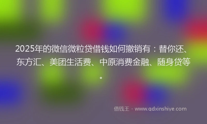 2025年的微信微粒贷借钱如何撤销有：替你还、东方汇、美团生活费、中原消费金融、随身贷等。