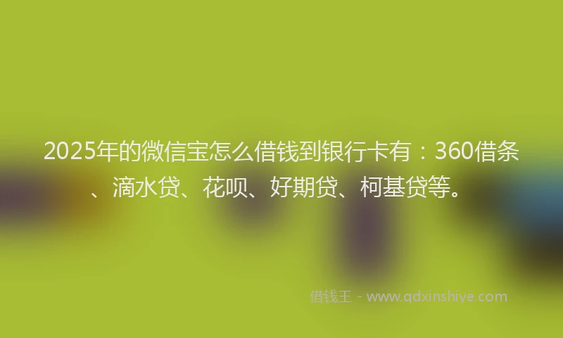 2025年的微信宝怎么借钱到银行卡有：360借条、滴水贷、花呗、好期贷、柯基贷等。