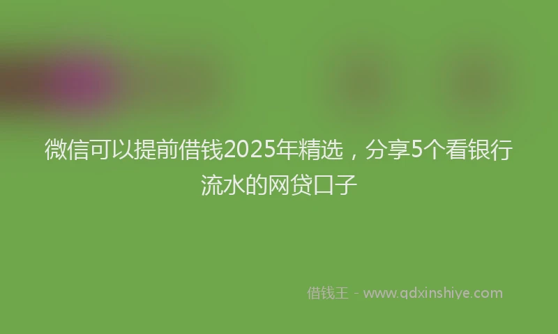 微信可以提前借钱2025年精选，分享5个看银行流水的网贷口子