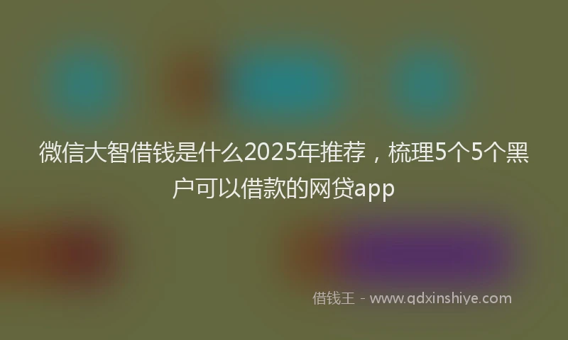 微信大智借钱是什么2025年推荐，梳理5个5个黑户可以借款的网贷app