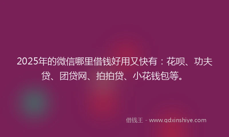 2025年的微信哪里借钱好用又快有：花呗、功夫贷、团贷网、拍拍贷、小花钱包等。