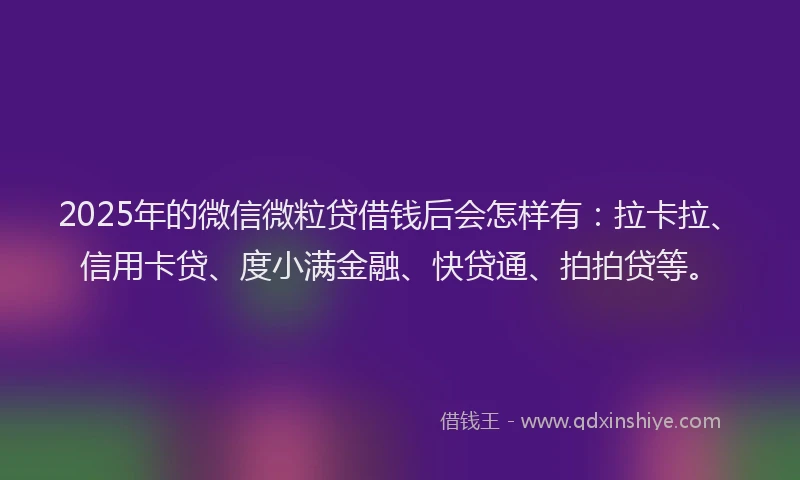 2025年的微信微粒贷借钱后会怎样有：拉卡拉、信用卡贷、度小满金融、快贷通、拍拍贷等。