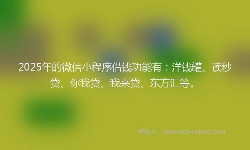 2025年的微信小程序借钱功能有：洋钱罐、读秒贷、你我贷、我来贷、东方汇等。