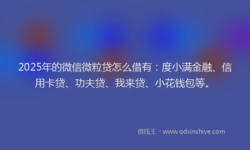 2025年的微信微粒贷怎么借有：度小满金融、信用卡贷、功夫贷、我来贷、小花钱包等。