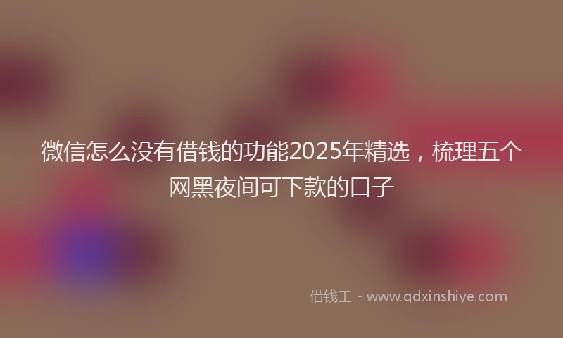 微信怎么没有借钱的功能2025年精选，梳理五个网黑夜间可下款的口子