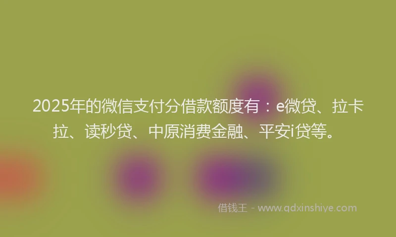 2025年的微信支付分借款额度有：e微贷、拉卡拉、读秒贷、中原消费金融、平安i贷等。