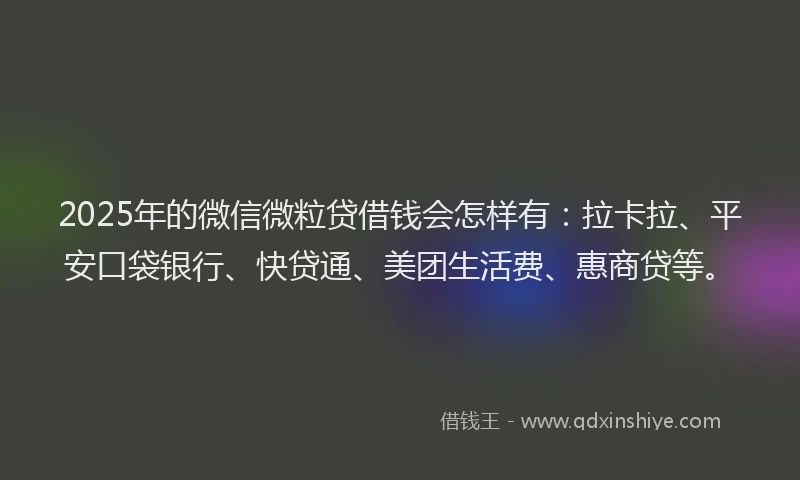 2025年的微信微粒贷借钱会怎样有：拉卡拉、平安口袋银行、快贷通、美团生活费、惠商贷等。