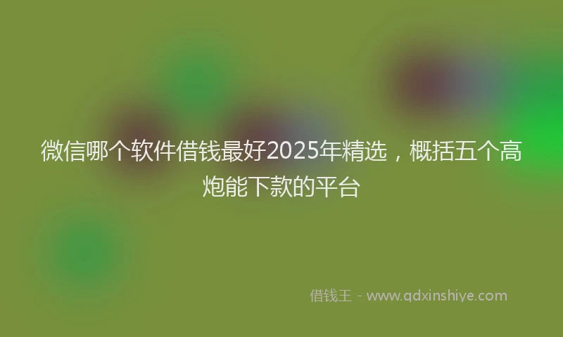 微信哪个软件借钱最好2025年精选，概括五个高炮能下款的平台