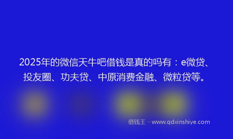 2025年的微信天牛吧借钱是真的吗有：e微贷、投友圈、功夫贷、中原消费金融、微粒贷等。