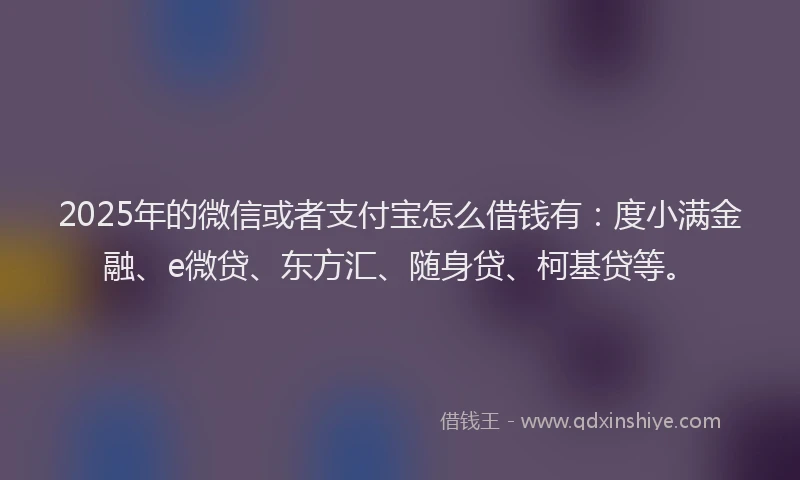 2025年的微信或者支付宝怎么借钱有：度小满金融、e微贷、东方汇、随身贷、柯基贷等。