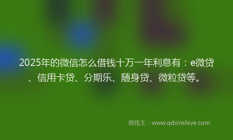2025年的微信怎么借钱十万一年利息有：e微贷、信用卡贷、分期乐、随身贷、微粒贷等。