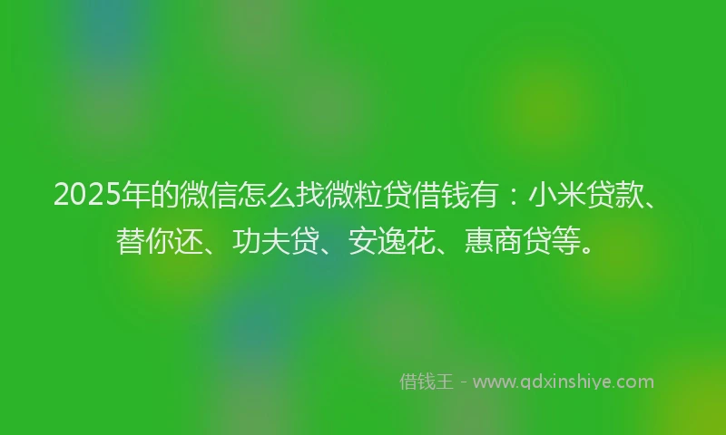 2025年的微信怎么找微粒贷借钱有：小米贷款、替你还、功夫贷、安逸花、惠商贷等。