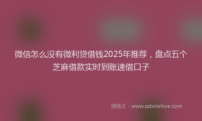 微信怎么没有微利贷借钱2025年推荐，盘点五个芝麻借款实时到账速借口子