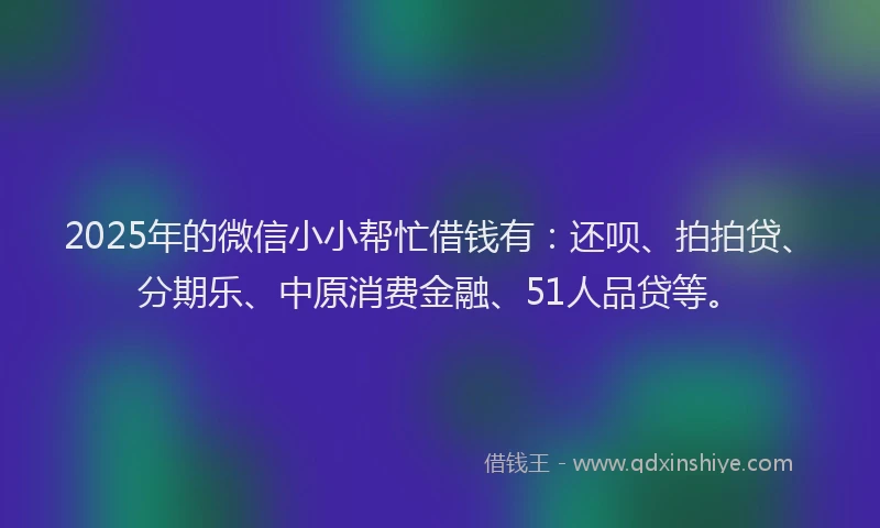 2025年的微信小小帮忙借钱有：还呗、拍拍贷、分期乐、中原消费金融、51人品贷等。