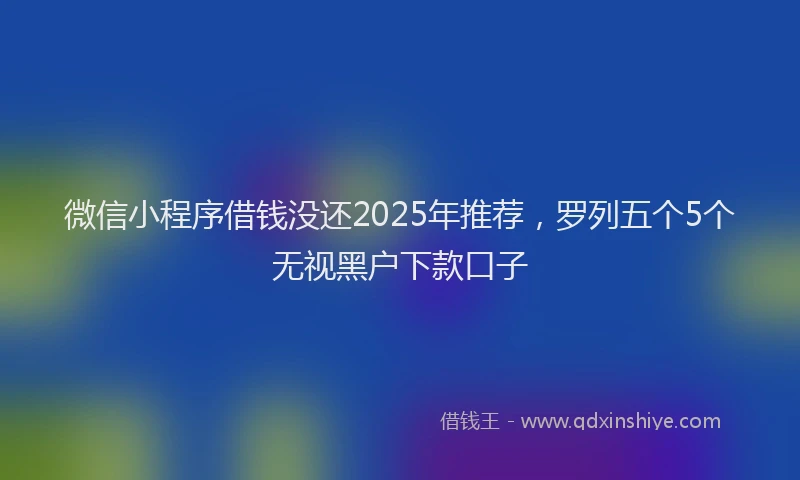 微信小程序借钱没还2025年推荐，罗列五个5个无视黑户下款口子