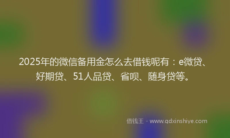 2025年的微信备用金怎么去借钱呢有：e微贷、好期贷、51人品贷、省呗、随身贷等。