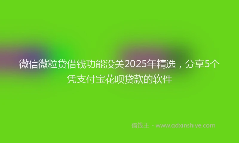 微信微粒贷借钱功能没关2025年精选，分享5个凭支付宝花呗贷款的软件