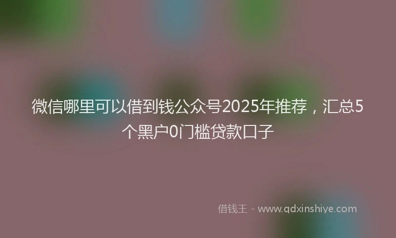 微信哪里可以借到钱公众号2025年推荐，汇总5个黑户0门槛贷款口子