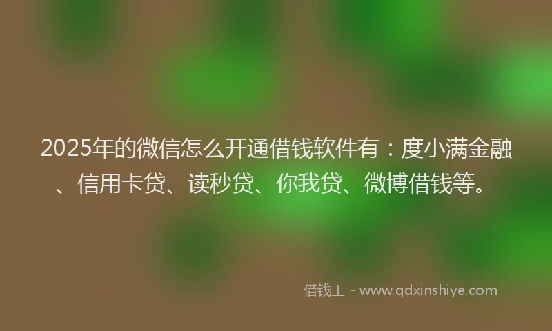 2025年的微信怎么开通借钱软件有：度小满金融、信用卡贷、读秒贷、你我贷、微博借钱等。