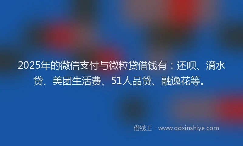 2025年的微信支付与微粒贷借钱有：还呗、滴水贷、美团生活费、51人品贷、融逸花等。