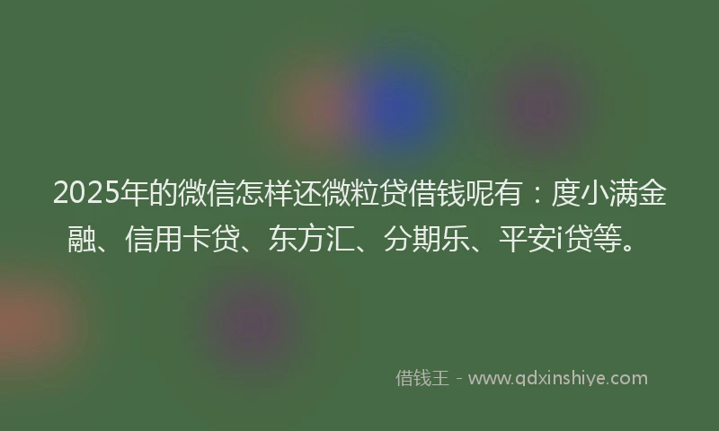 2025年的微信怎样还微粒贷借钱呢有：度小满金融、信用卡贷、东方汇、分期乐、平安i贷等。