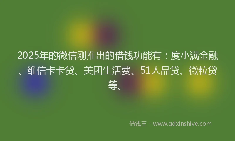 2025年的微信刚推出的借钱功能有:度小满金融、维信卡卡贷、美团生活费、51人品贷、微粒贷等。