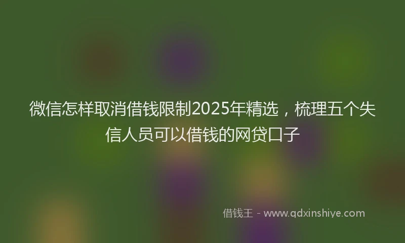微信怎样取消借钱限制2025年精选，梳理五个失信人员可以借钱的网贷口子