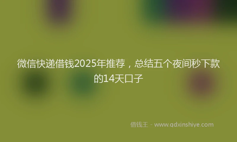 微信快递借钱2025年推荐，总结五个夜间秒下款的14天口子