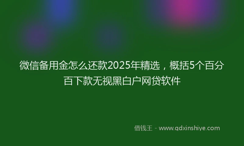微信备用金怎么还款2025年精选，概括5个百分百下款无视黑白户网贷软件