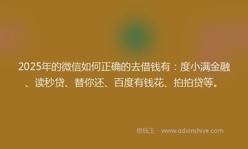 2025年的微信如何正确的去借钱有：度小满金融、读秒贷、替你还、百度有钱花、拍拍贷等。