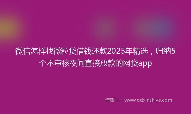 微信怎样找微粒贷借钱还款2025年精选，归纳5个不审核夜间直接放款的网贷app